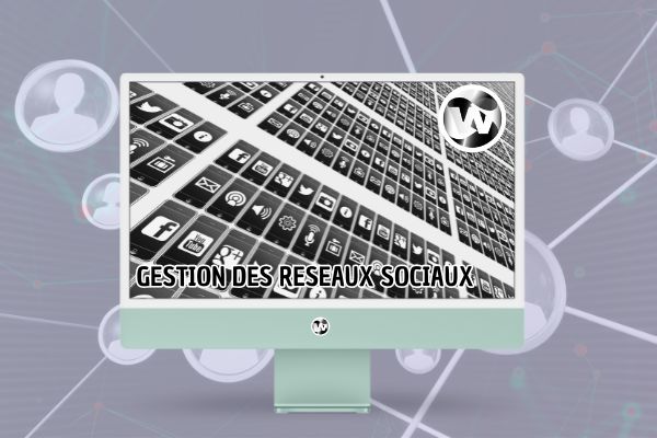 image Gestion des Réseaux Sociaux WEBSTEVE